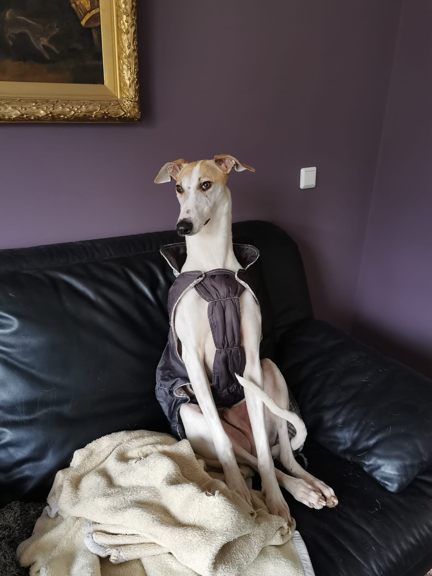 198028704 836204237091271 8989640234141531952 n