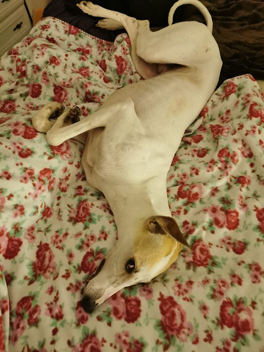 198134396 405847043845141 4090845746784274148 n