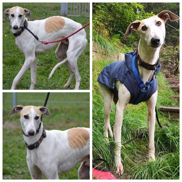 199487236 217195620235490 6790549337910746244 n