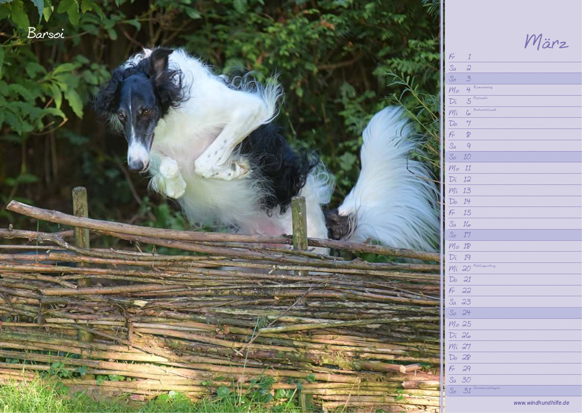 Unser Joker begrüßt den Monat März