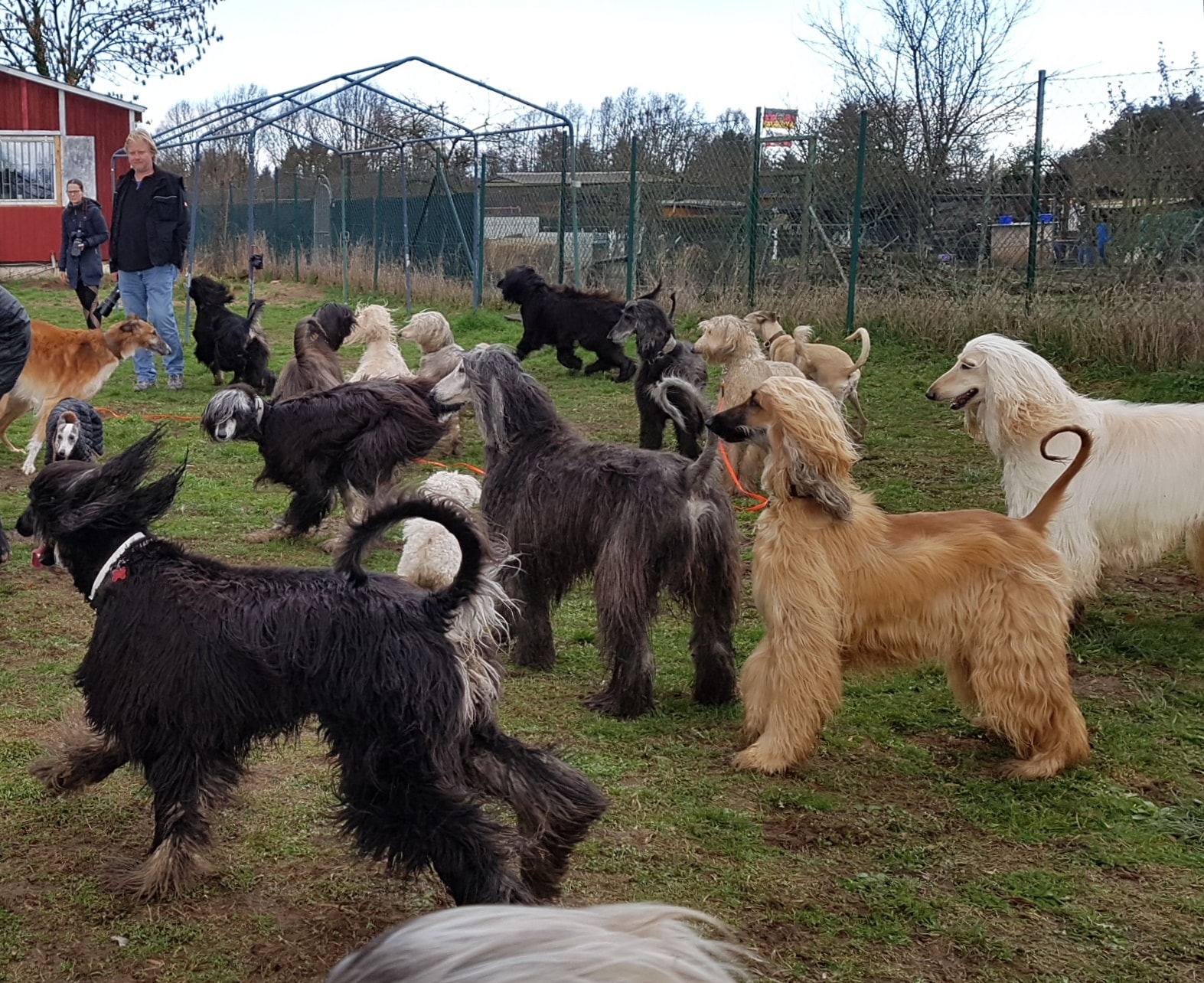 Jahreshauptversammlung 2019