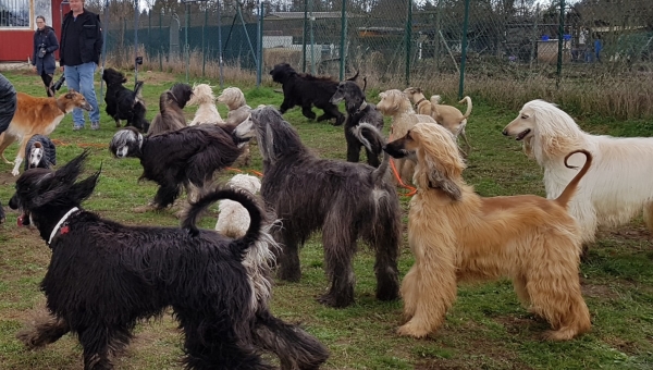 Jahreshauptversammlung 2019