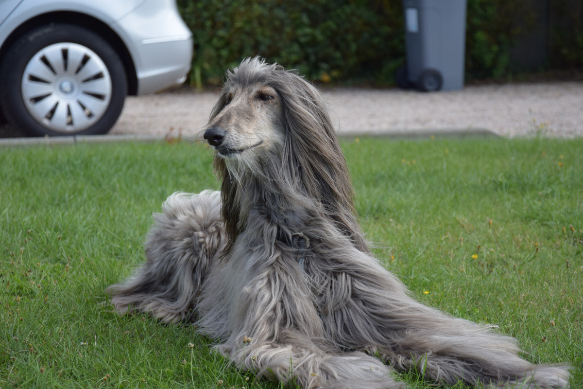 Spendenbescheinigungen