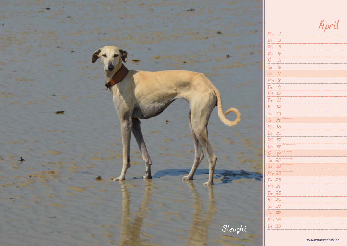 Unsere Liza begrüßt den April