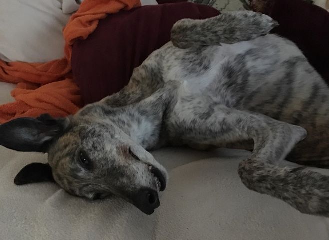 Geburtstagsgrüße von Fred