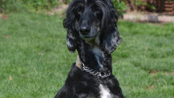 Die Kunst des Fotografierens...