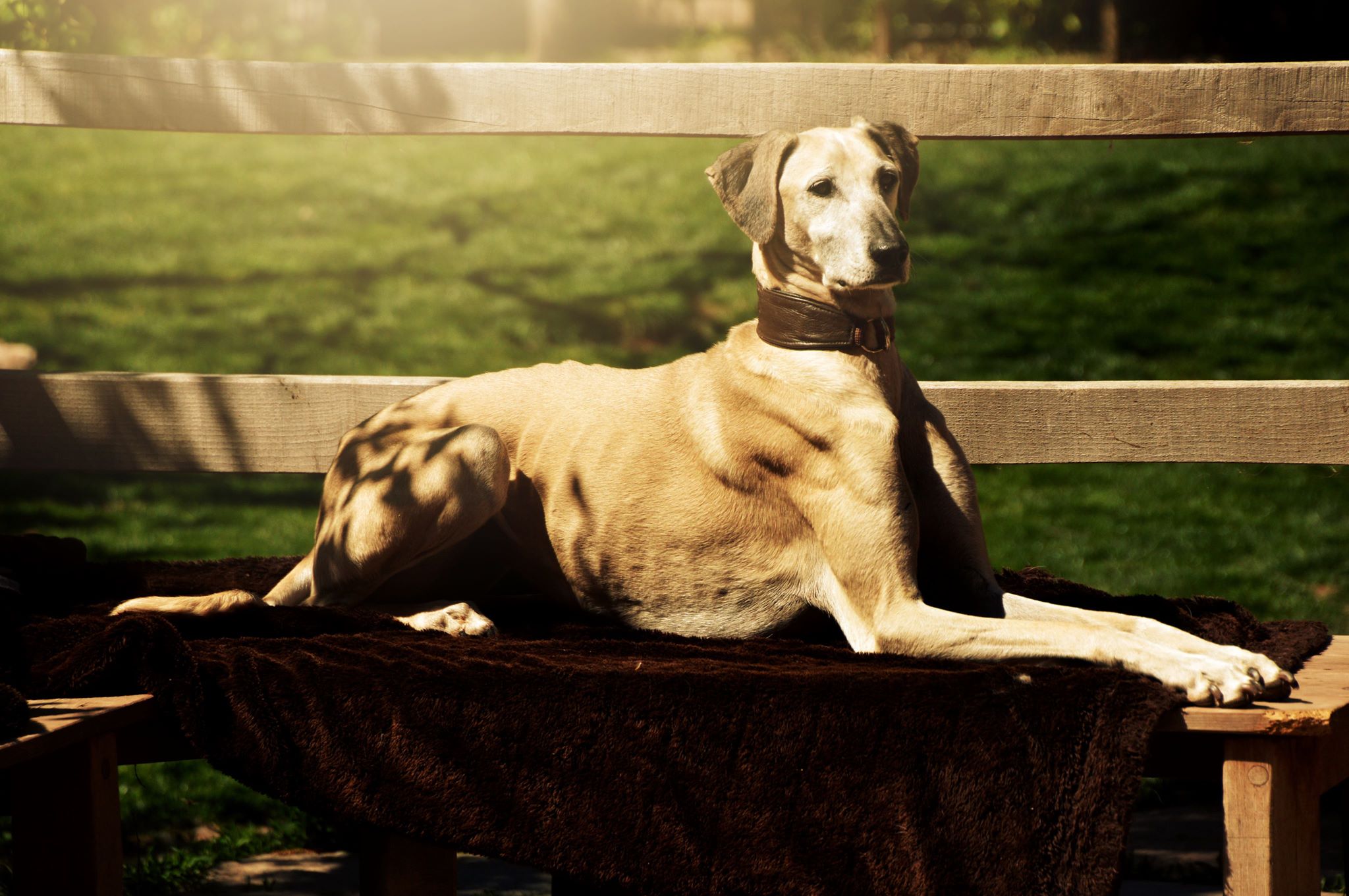 Unsere Izzy lässt grüßen