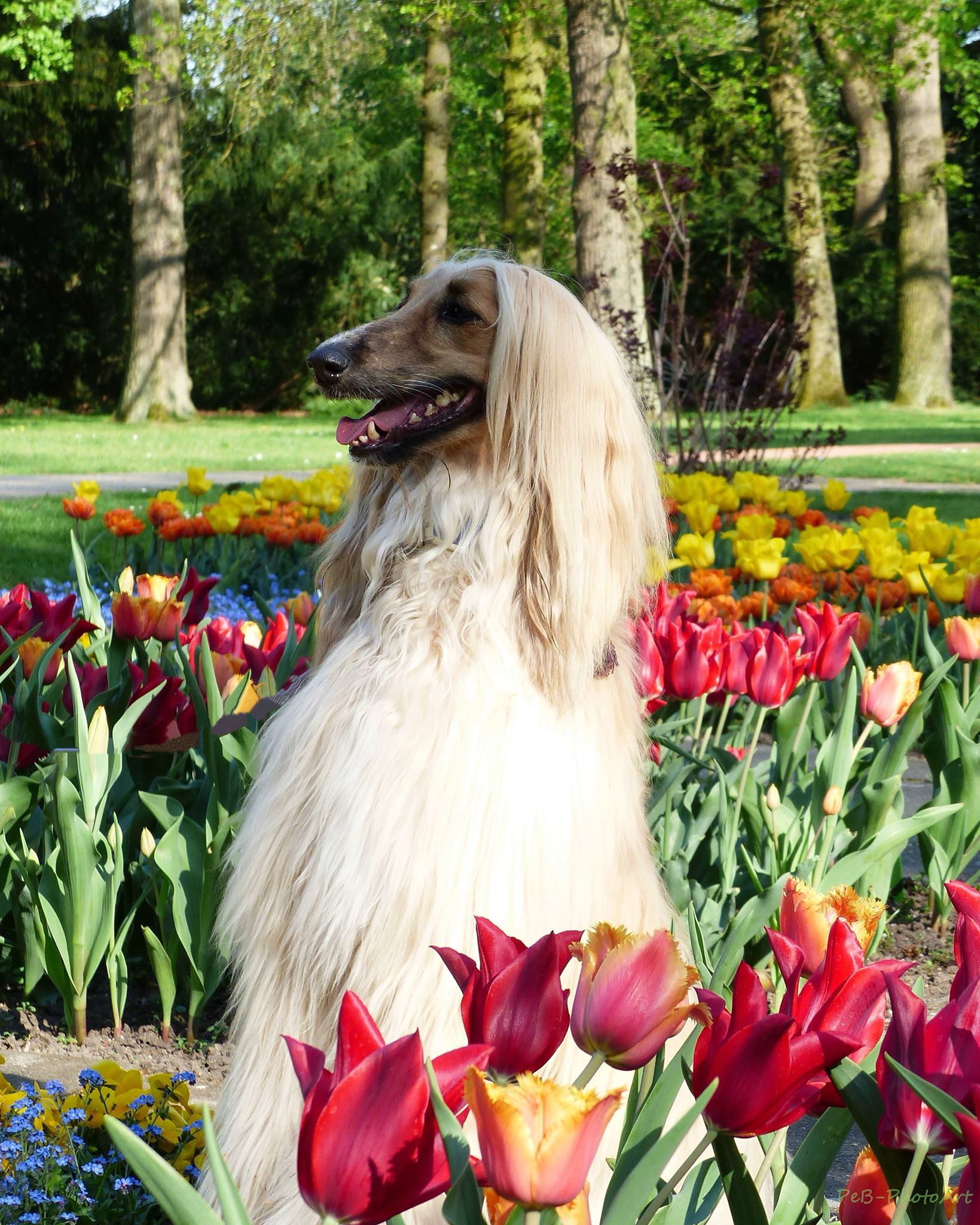 Hab die Haare schön