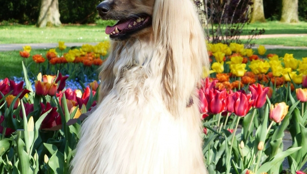 Hab die Haare schön