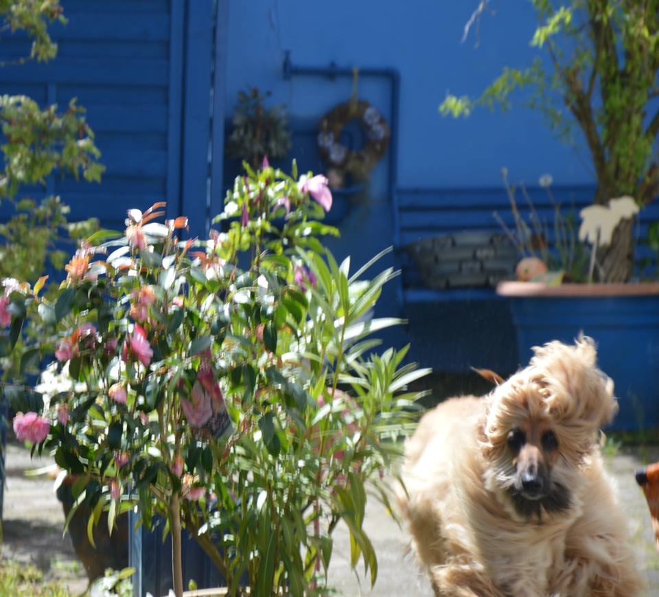 Wichtige Entscheidungen trifft mein Mann…