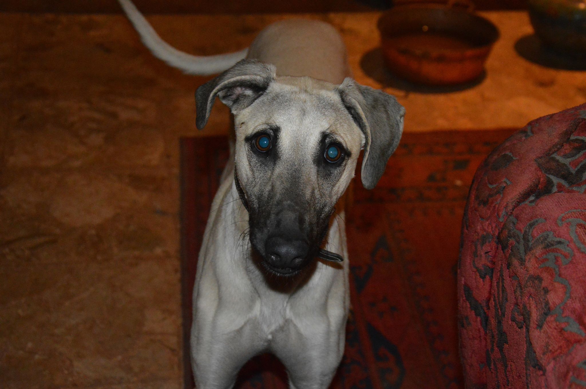 Das Abitur hat er schon in der Tasche