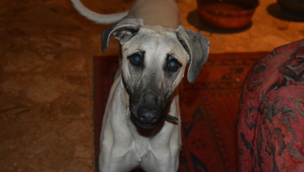 Das Abitur hat er schon in der Tasche