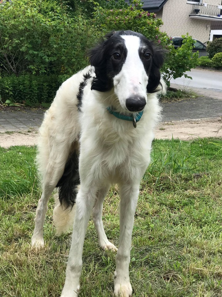 Zum Glück nicht lila