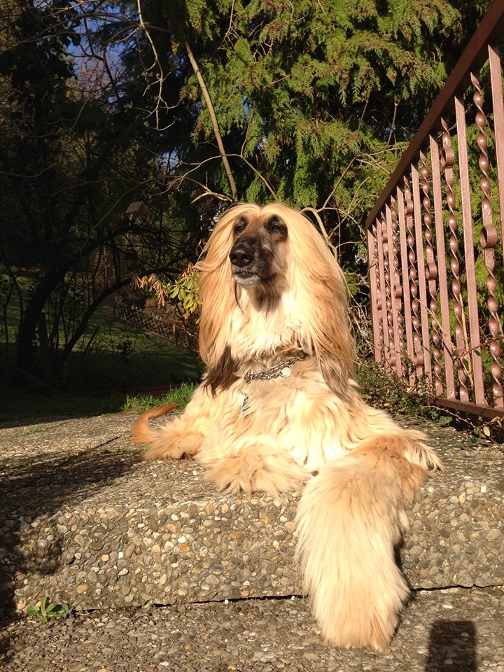 Ich vermisse ihn so sehr