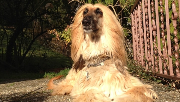 Ich vermisse ihn so sehr