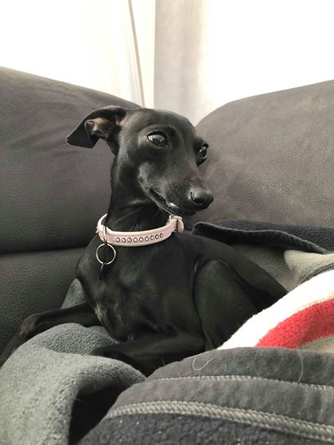 Ein lieber Gruß von Ada erreichte uns