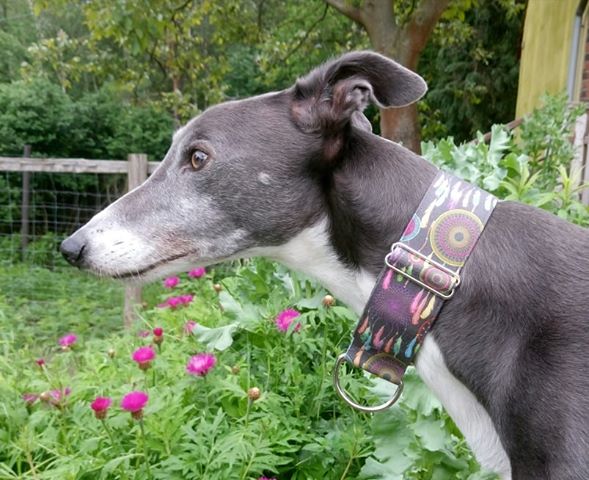 Nashoba und Liam senden Grüße