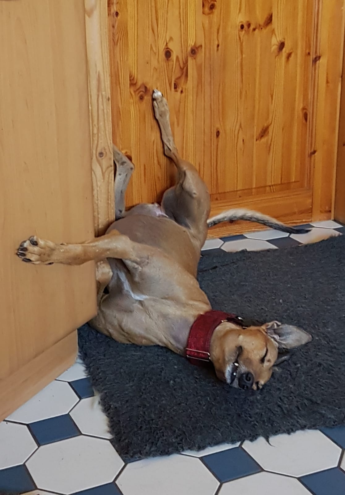 Ein entspanntes Wochenende