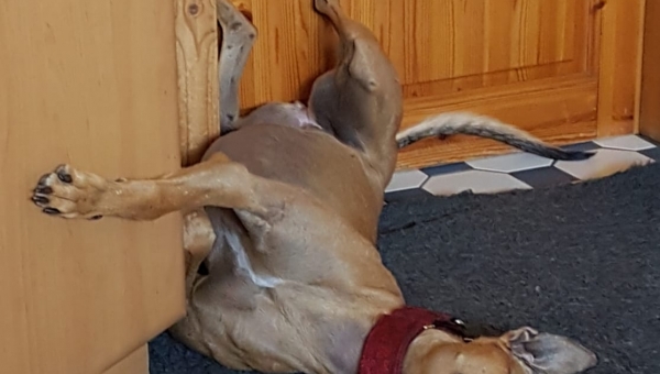 Ein entspanntes Wochenende