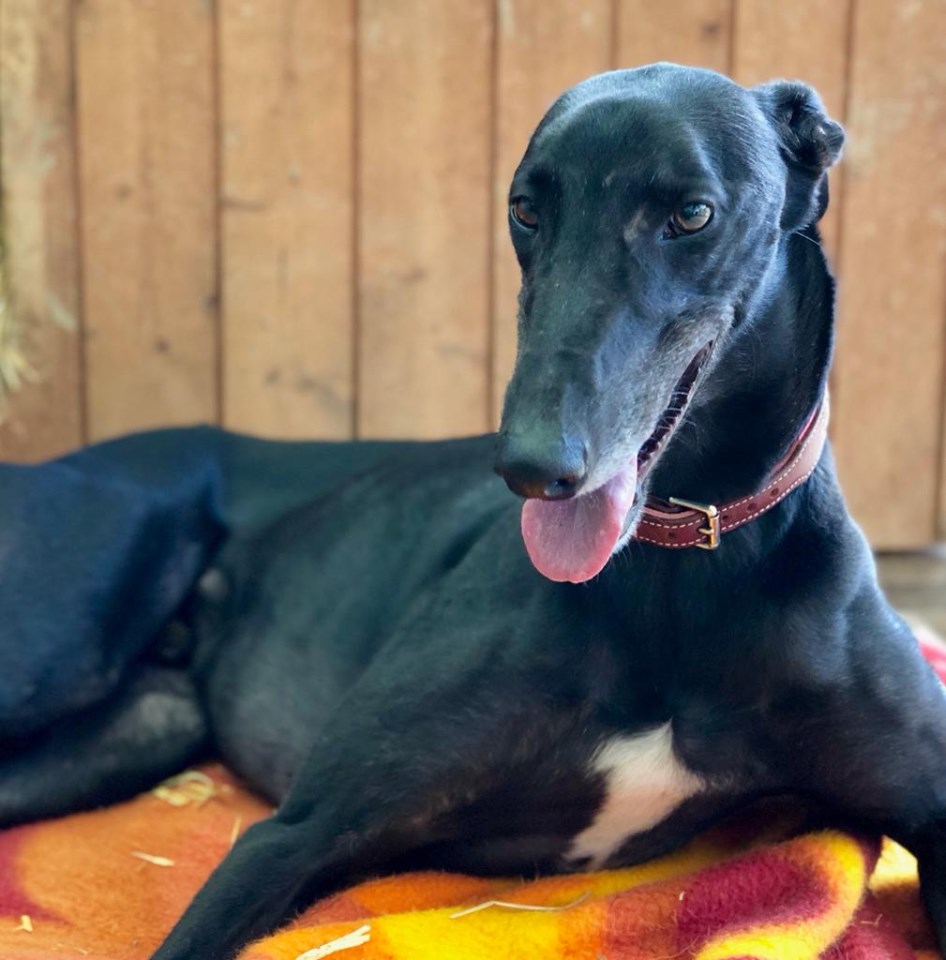 Ganz nebenher geht auch noch was