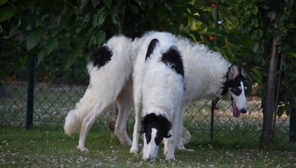 Richtig toll spielen