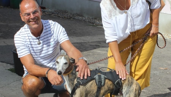 Ayk hat sein Zuhause