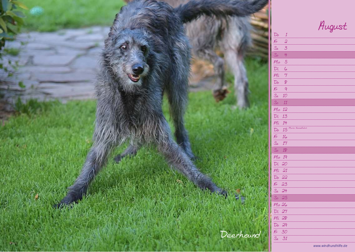 Wir begrüßen den August