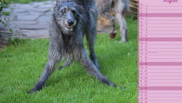 Wir begrüßen den August