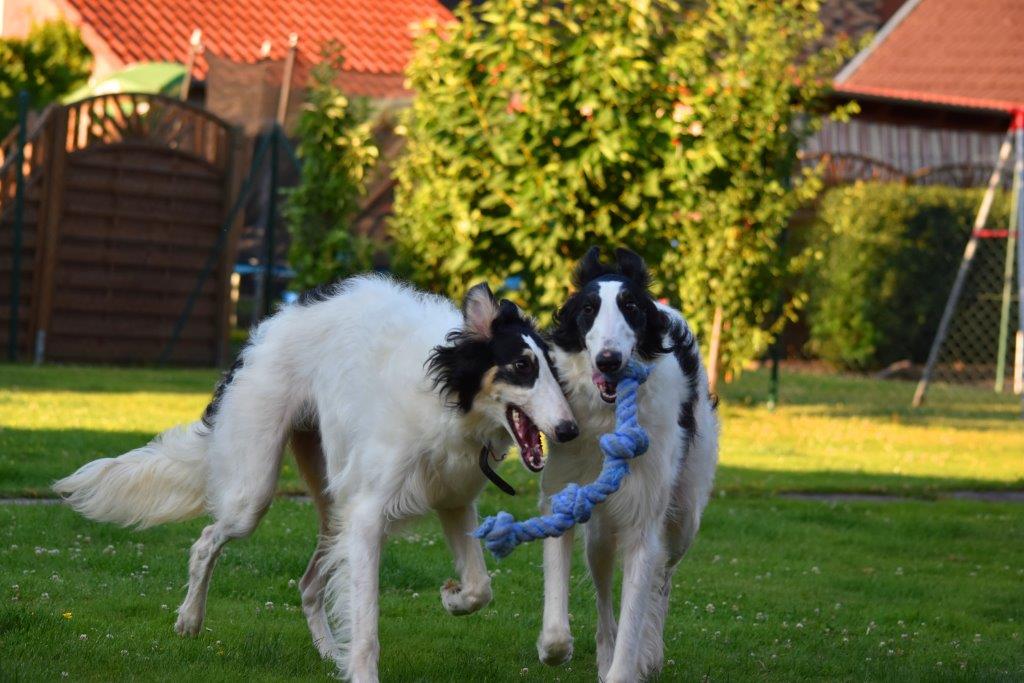 Das alltägliche Auf und Ab