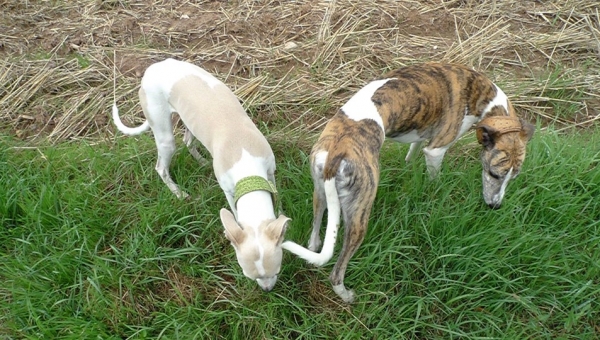 ..., was zusammen gehört.