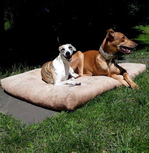 Nummer acht bleibt auch.