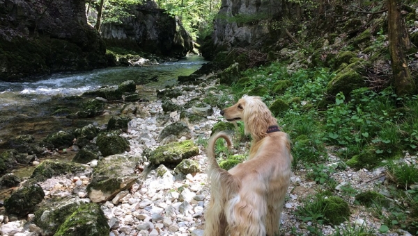 Geburtstagsgrüße von Sonny