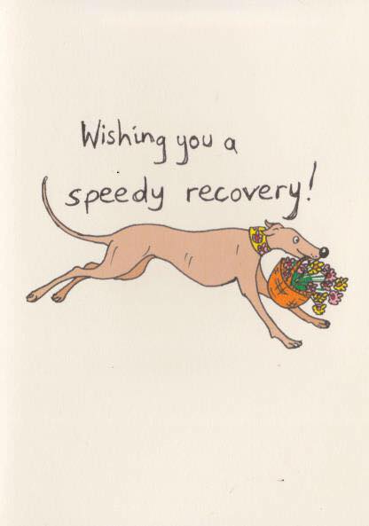 Update: Sandfarbener Bub – Uli