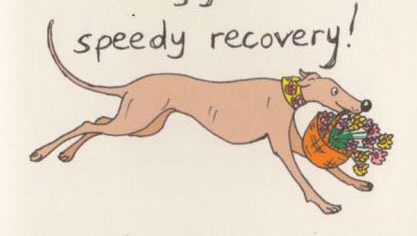 Update: Sandfarbener Bub – Uli