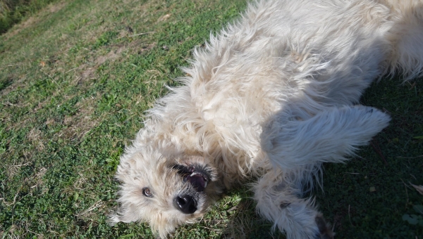 Neuigkeiten zum Wochenbeginn