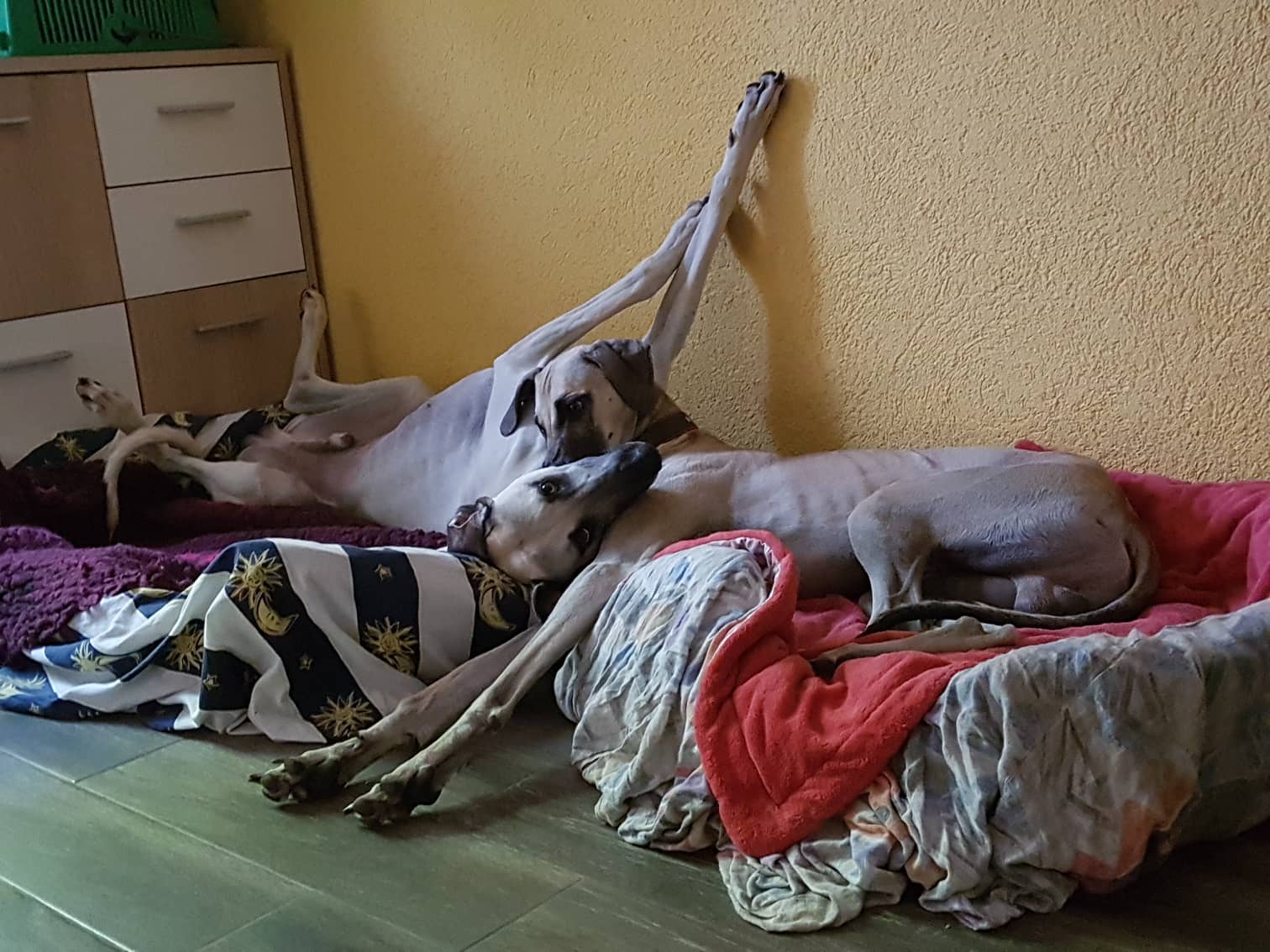 Richtig gute Freunde