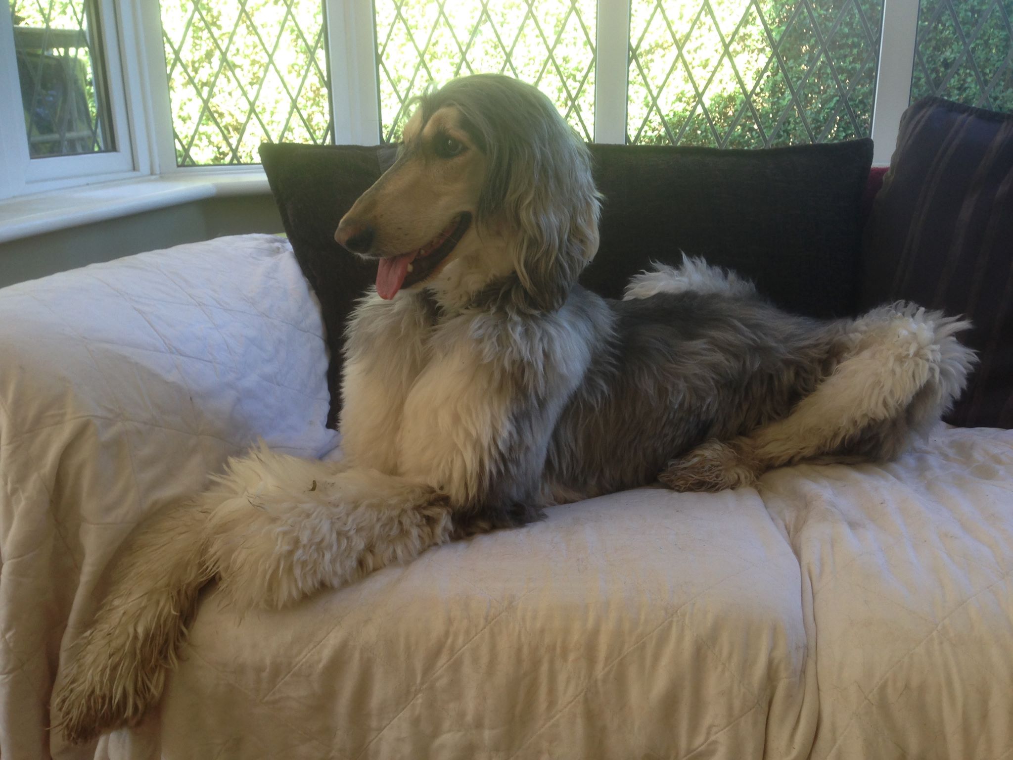 Manchmal muss man in die Ferne schweifen