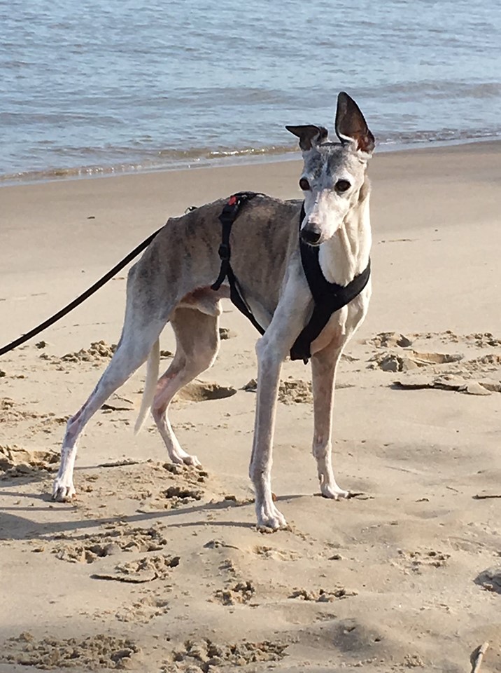 Happy birthday old man!