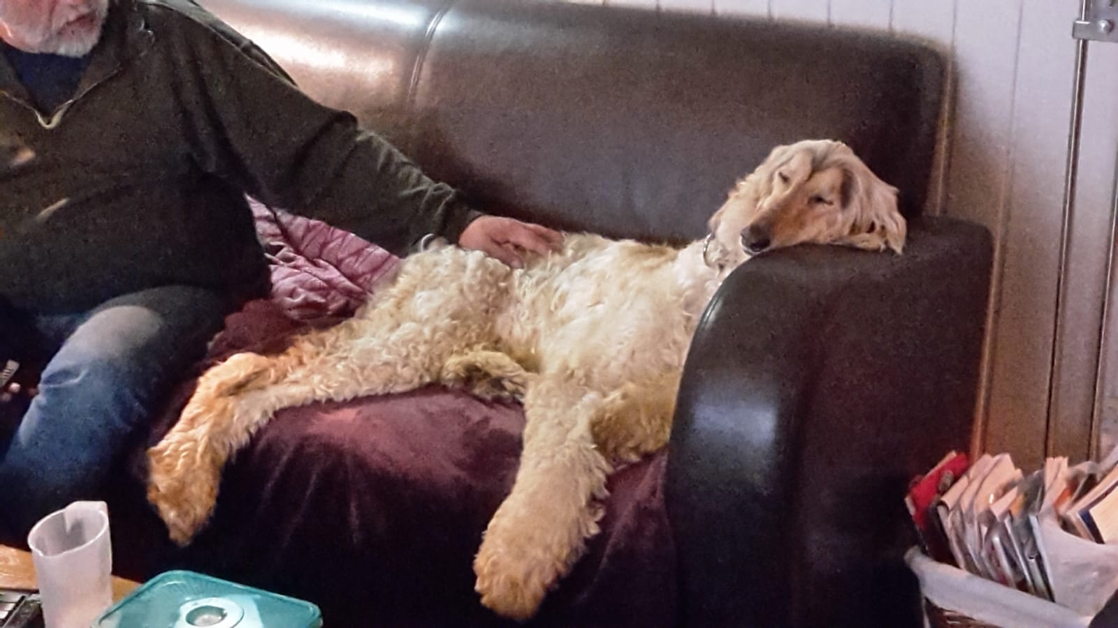 Milo hat eine neue Familie!