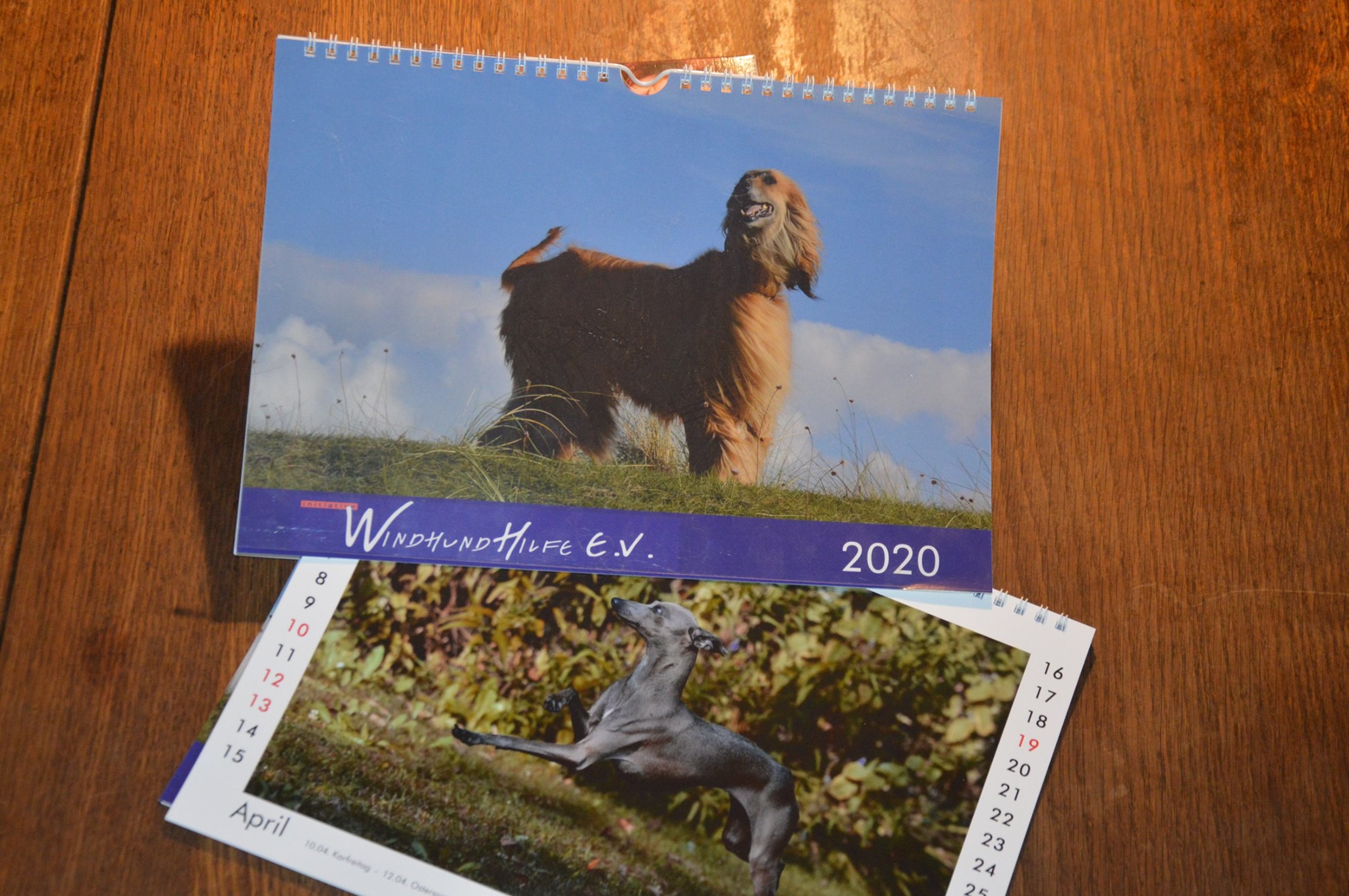 Ganz frisch gedruckt