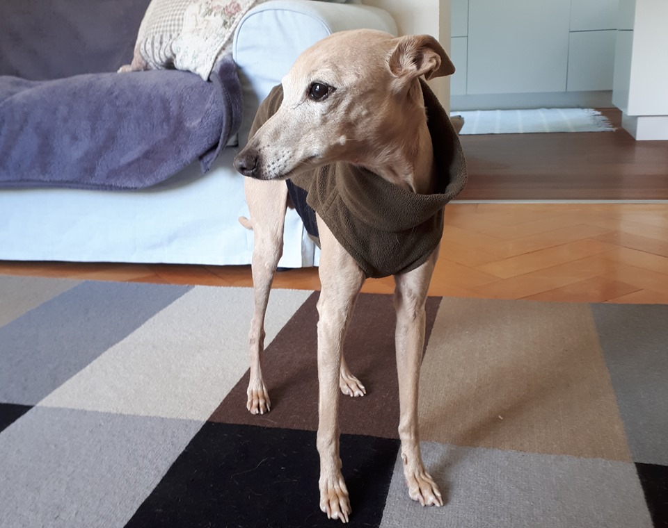 Schöne Post von Vic