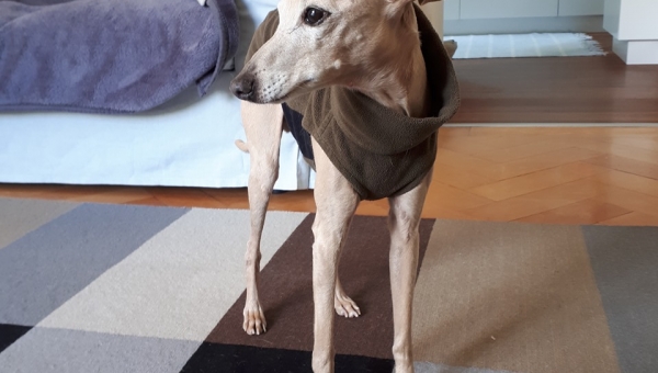 Schöne Post von Vic