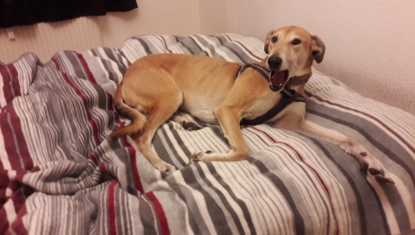 Frida hat es geschafft