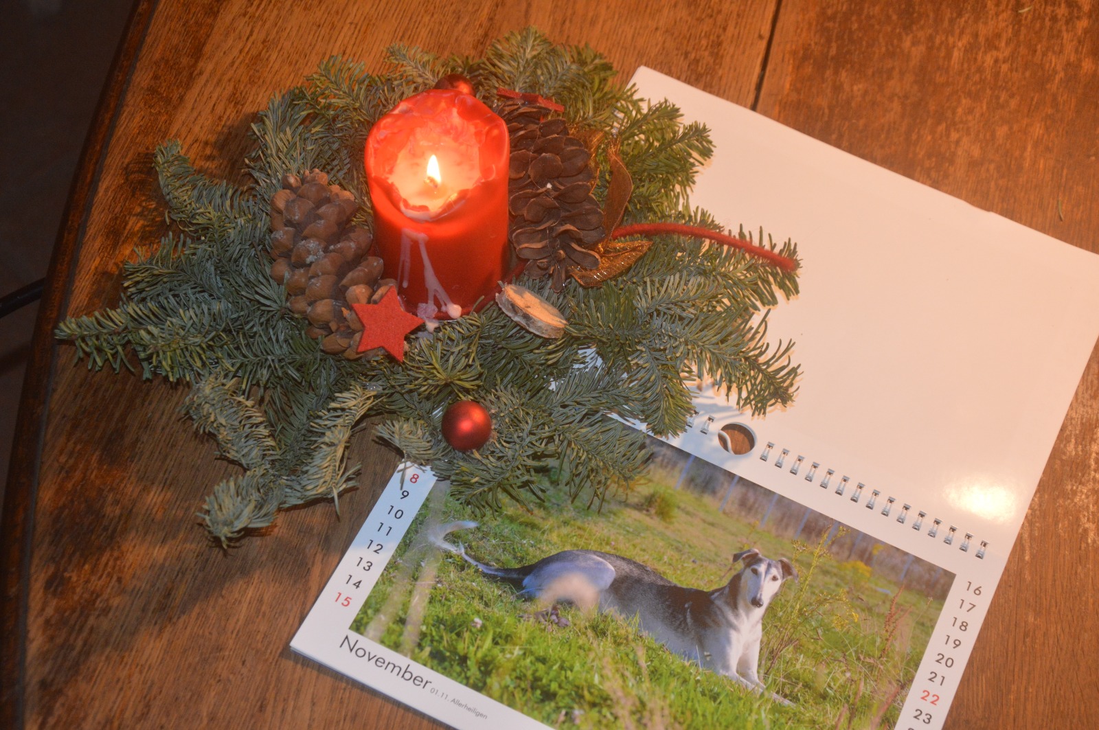 Noch Weihnachtsgeschenke gesucht