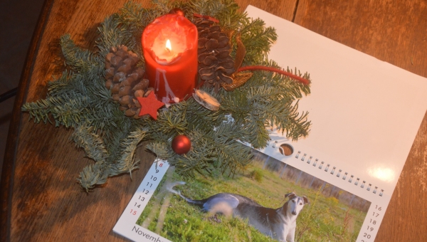 Noch Weihnachtsgeschenke gesucht