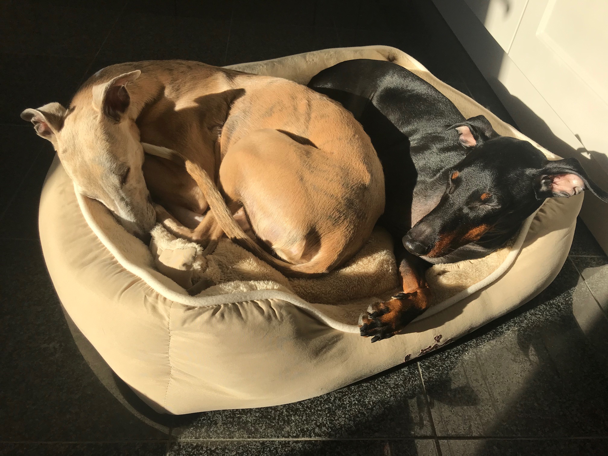 Emil glücklich, Benni reserviert