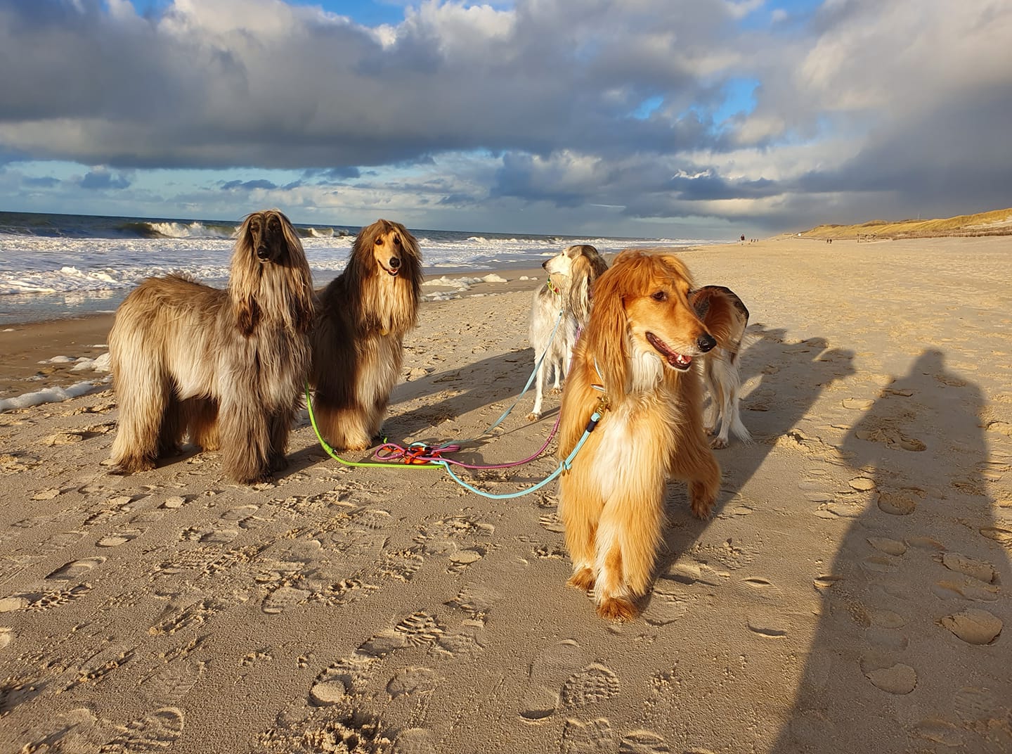 Bald ist Weihnachten