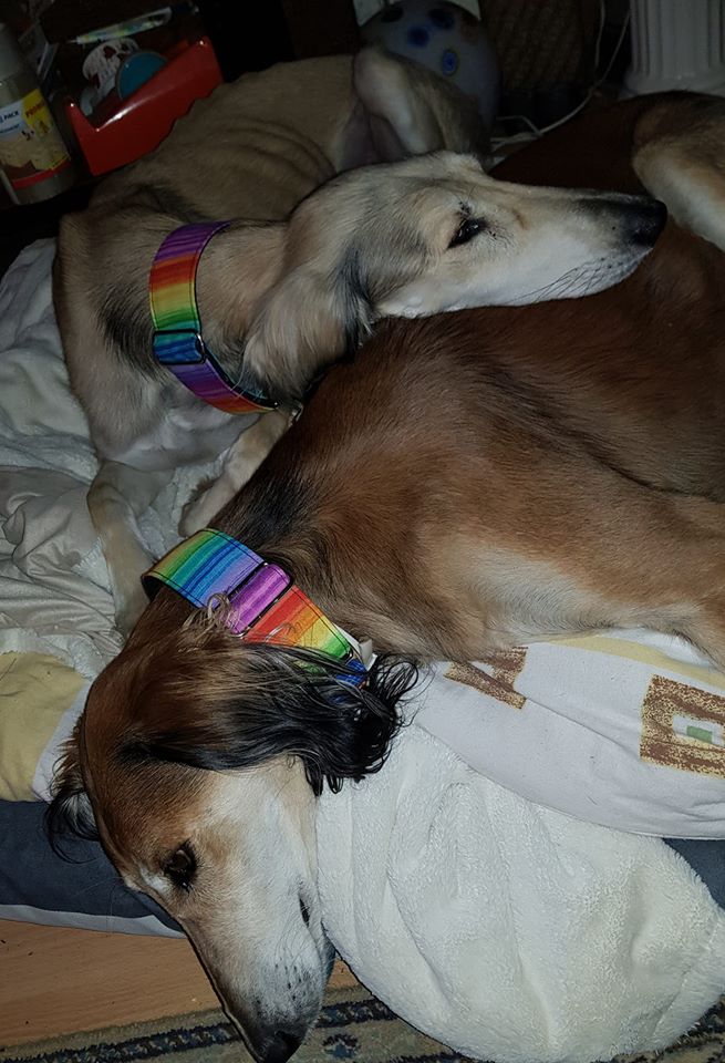 Lerry und sein neuer Freund