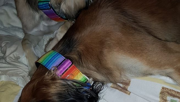 Lerry und sein neuer Freund