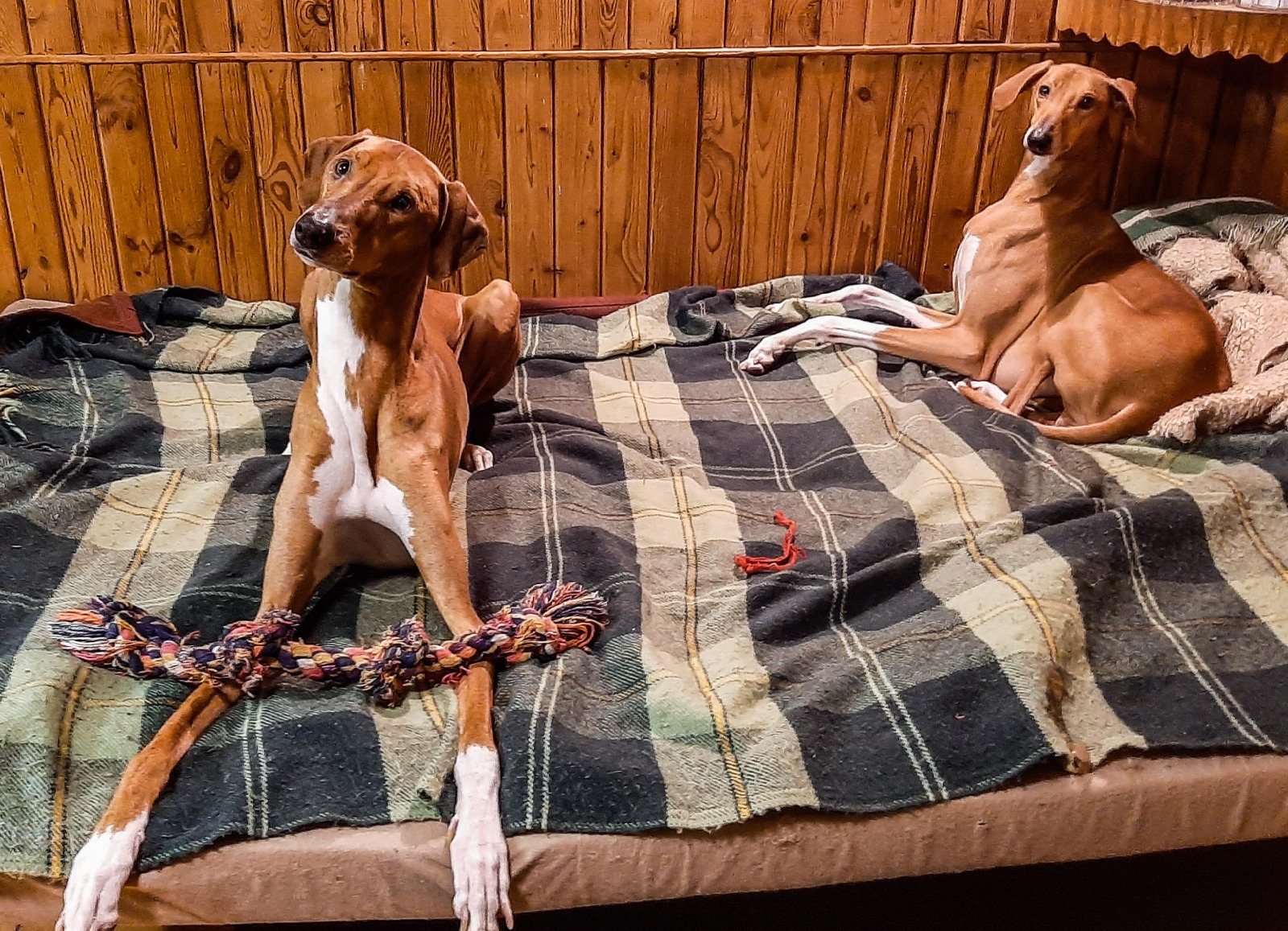 Neues Paradies gesucht